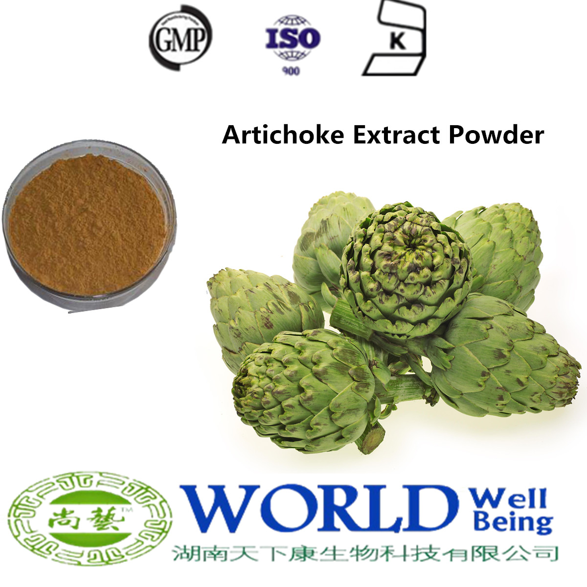 GMP Factory Artichoke Extract Cynarin Artichoke Extract Leaf Extract Powder Free Sample