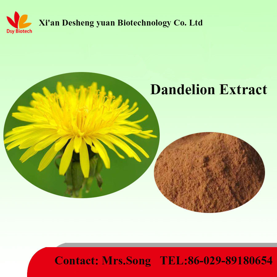 dandelion extract