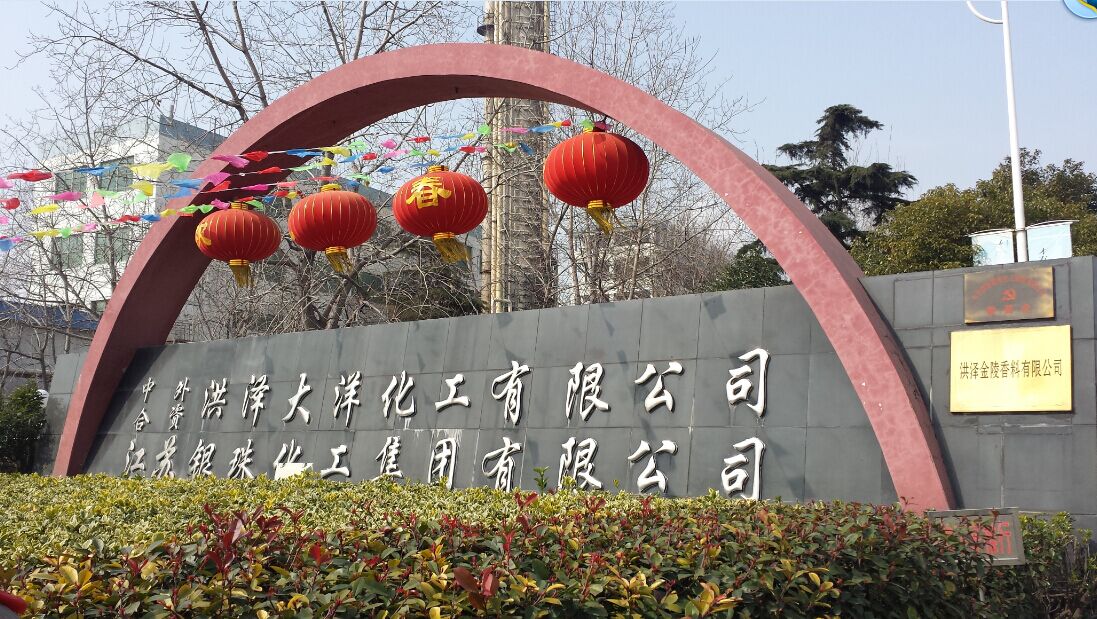 Jiangsu Yinzhu Chemical Group Co.,Ltd.