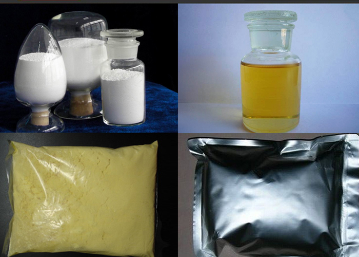 Hubei Holy Biological Co., Ltd.