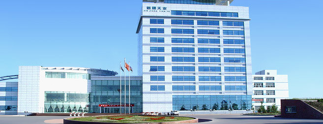 XINJIANG TIANYE GROUP CO.,LTD XINJIANG TIANYE GROUP CO.,LTD