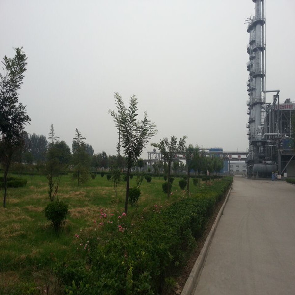 Shandong Aoertong Chemical Co., Ltd.