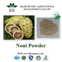 Noni extract powder 20:1