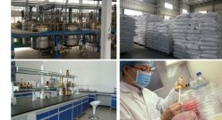 Qiruide Chemical Auxiliary Agents Co.,Ltd
