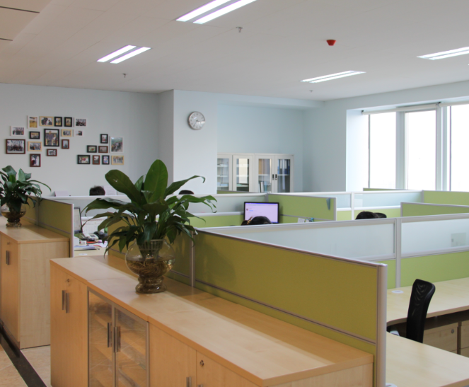 Hebei Ruishun Trade Co.,Ltd