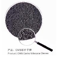 Carbon Molecular Sieve (CMS for tyre inflation)