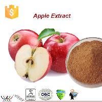 Pure natural antioxidant cosmetics ingredient apple extract