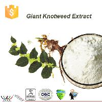 Pure natural strong antioxidant 98% Trans-resveratrol giant knotweed extract