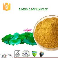 Weight loss Lotus Leaf Extract