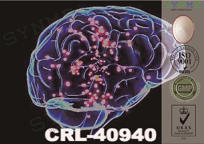 CRL-40,940/Fladrafinil/cas:90280-13-0/Cognitive enhancer/CRL-40,940/nootropic