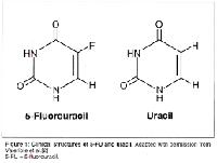 Fluorouracil (5-Fluorouracil)