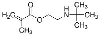 2-(tert-Butylaminoethyl methacrylate