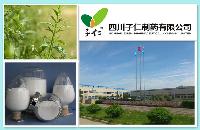 Andrographolide Factory Direct Supply