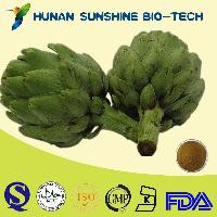 Nutritional Supplement Artichoke Leaf Extract Support Liver and Cholesterol Metabolism