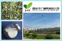 100% Plant Extract AndrographolideAndrographis Paniculata Extract, Andrographolide 99%
