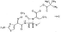Cefetamet Pivoxil Hydrochloride 111696-23-2