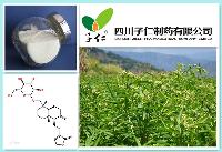 High Purity Andrographolide, 100% Natural Extract