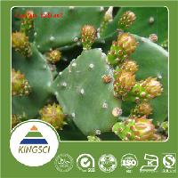 Natural weight loss Hoodia Extract/Hoodia Extract Powder/Hoodia Cactus Extract Bulk Store