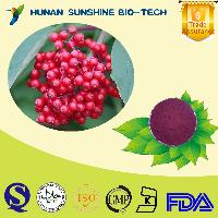 Natural Antioxidant Elderberry Extract Powder