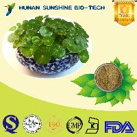 Dietary supplements Ingredients Natural Lemon Balm Extract