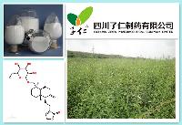100% Plant Extract Andrographolide