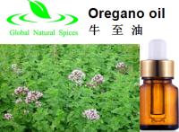 Organic oregano essential oil Cas:8007-11-2