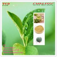 GMP manufacturer natural Green Tea Extract Polyphenols