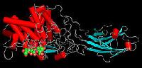 Cellulase