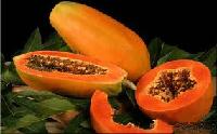 Papain