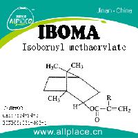 IBOMA(Isobornyl methacrylate)