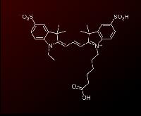Sulfo-Cyanine3 carboxylic acid