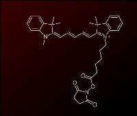 good quality Sulfo-Cyanine7 carboxylic acid