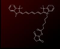 good quality Sulfo-Cyanine7 NHS ester