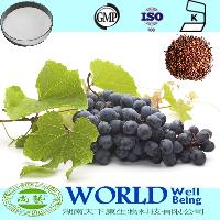 100% Natural Resveratrol Powder Grape Skin Extract Powder Low Price Resveratrol Grape Extract Powder