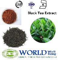 100% Natural Black Tea Extract/Black Tea Extract Powder Lose Weight Theaflavin 20-80%