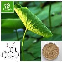 Lotus Leaves Extract /Lotus Leaves Extract Powder/ Lotus Leaves Powder/Nuciferine Powder 2%,3%10%,98%