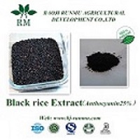 black rice extract anthocyanidins 10%
