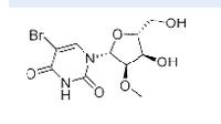 5-BroMo-2'-O-Methyluridine