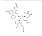 5'-O-(4,4-Dimethoxytrityl)-2'-O-[(tert-butyl)dimethylsilyl]uridine-3'-(2-cyanoethyl-N,N-diisopropyl)phosphoramidite