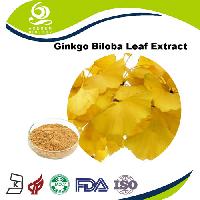EP Standard Ginkgo biloba leaf Extract 24/6 Powder