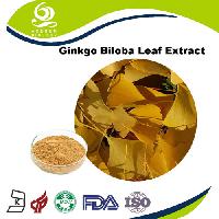 Pesticide Free Ginkgo biloba leaf Extract EP 24/6 Powder