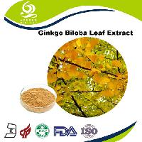 Ginkgo biloba leaf Extract 24/6 EP Standard