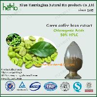 water soluble green coffee bean p.e. Coffea Arabica L. Chlorogenic acids