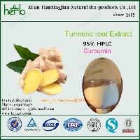 Turmeric root Extract Curcumin