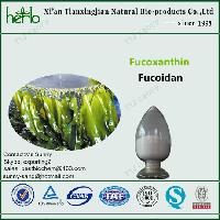 Fucoidan(Kelp Extract)