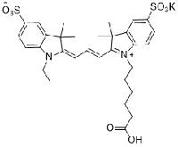 Sulfo-Cyanine3 Carboxlic Acid