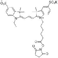 Sulfo-Cyanine3 NHS ester