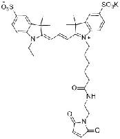 Sulfo-Cyanine3 Maleimide