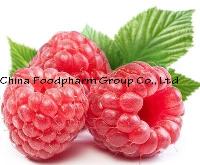 100% Natural Raspberry Ketones Raspberry Extract