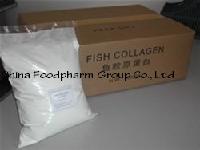 Fish collagen?